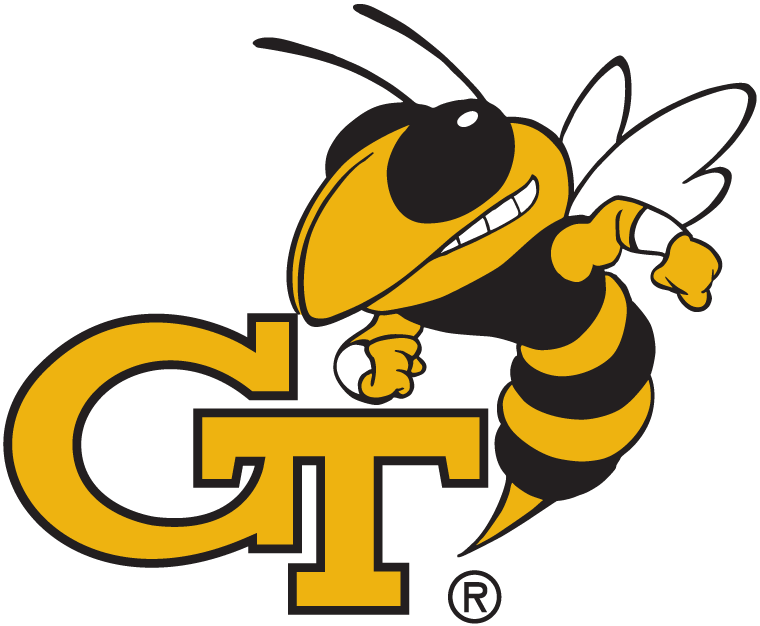 Georgia Tech Yellow Jackets 1991-Pres Alternate Logo v4 diy DTF decal sticker